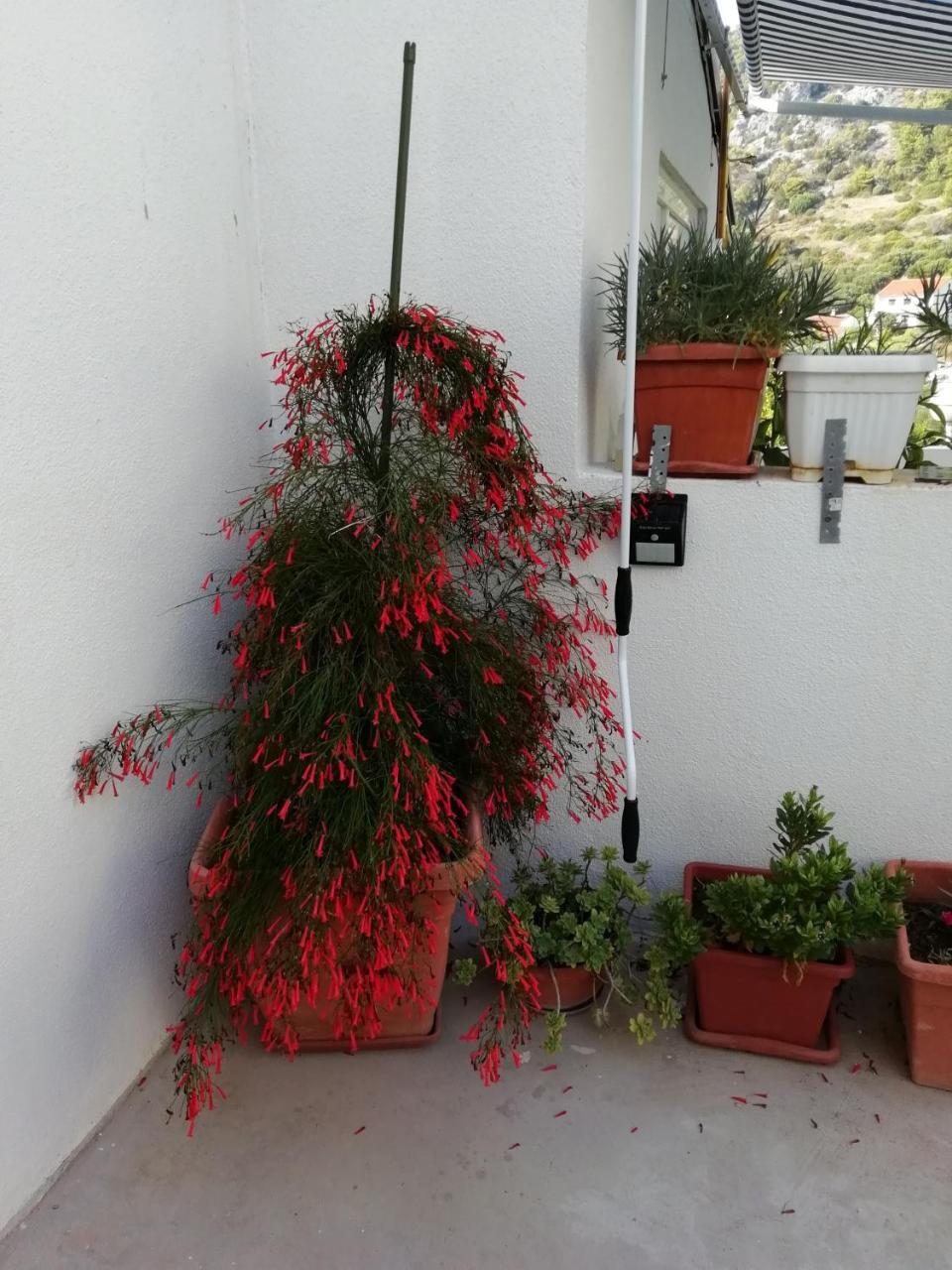 חוואר Apartments Barcot מראה חיצוני תמונה